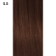 Vopsea INSIGHT Incolor MAHOGANY